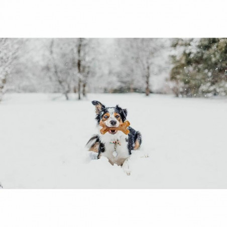 Giocattolo da mordere per cani Benebone Marrone animali