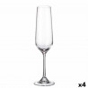 Calice da champagne Bohemia Crystal Sira 200 ml champagne 6 Pezzi (6 Unità) (4 Unità)
