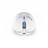 Mouse Endorfy EY6A010 Bianco Multicolore 16000 dpi