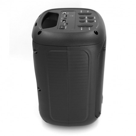 Altifalante Bluetooth Portátil SQUEAK SQ1005 Preto 40 W