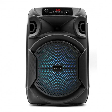 Portable Bluetooth Speakers SQUEAK SQ1006 Black 35 W