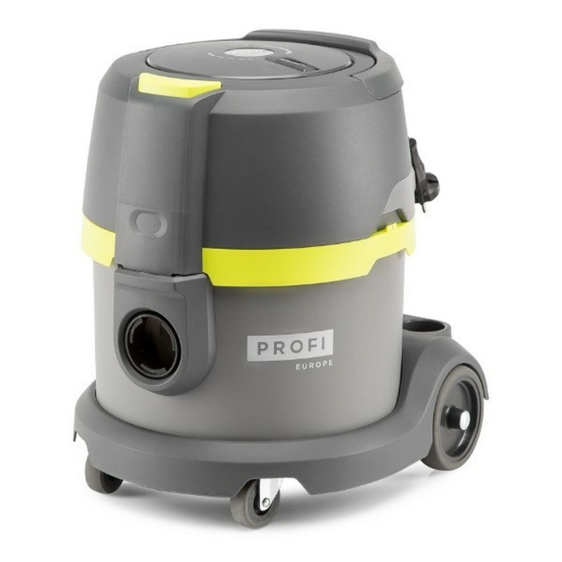 Aspiradora con Bolsa Master Profi P6 Amarillo Gris 1040 W