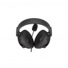 Casques avec Microphone Endorfy EY1A003 Noir