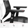 Gaming Chair Diablo Chairs Diablo V-BASIC White Black