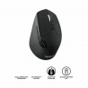 Souris Optique Sans Fil Logitech M720 1000 dpi Noir