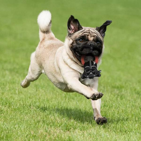 Hundespielzeug Star Wars Schwarz