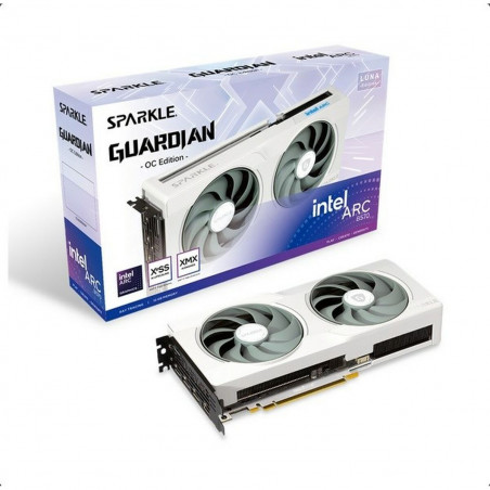 Tarjeta Gráfica Sparkle 1A1-S00430000G Intel 10 GB GDDR6