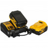 Tournevis électrique Dewalt DCF899P2-QW