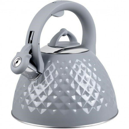 Kettle Promis TMC14G Grey Steel 3 L