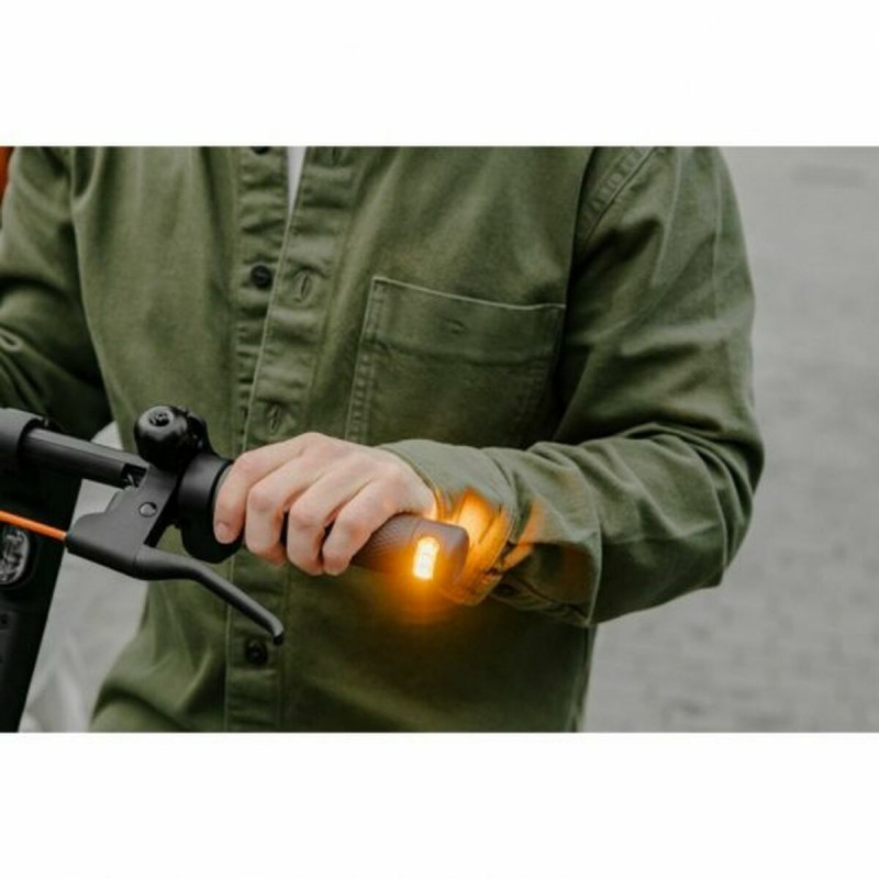 Elektroroller Segway KickScooter F2 Pro E Schwarz 450 W 25 km/h