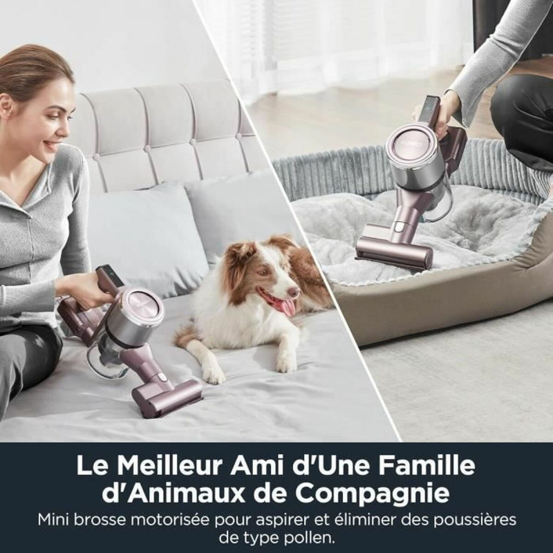 Stick Vacuum Cleaner Eureka AK10 Pro 450 W