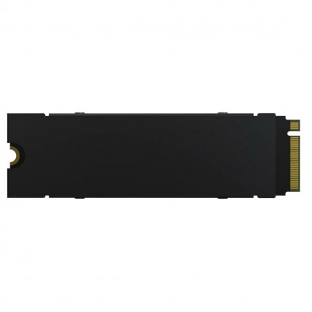 Festplatte Predator BL.9BWWR.121 512 GB SSD