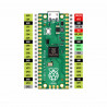 Raspberry RASPBERRY PI 205-5263