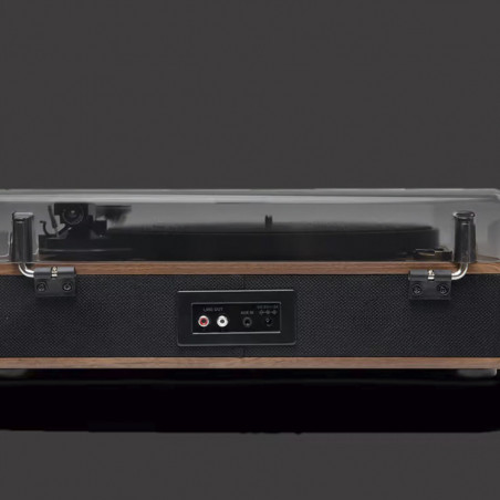 Plattenspieler Muse Holz