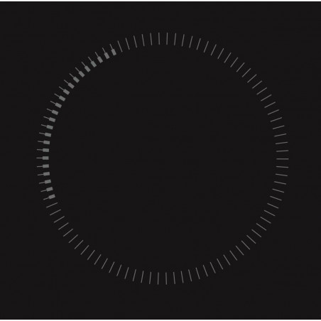 Induktionskochfeld Brandt BPI6310B 60 cm 4600 W