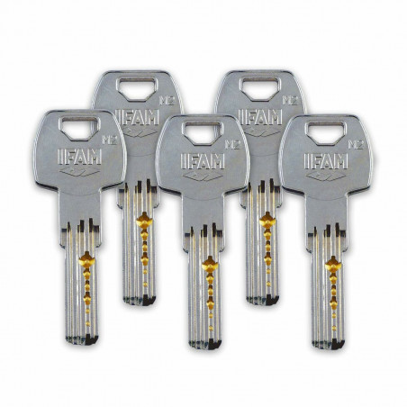 Serrure de sécurité IFAM CS88L M50 Acier Laiton