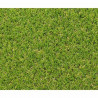 Prato artificiale Exelgreen Campus 2D 1 x 5 m 25 mm