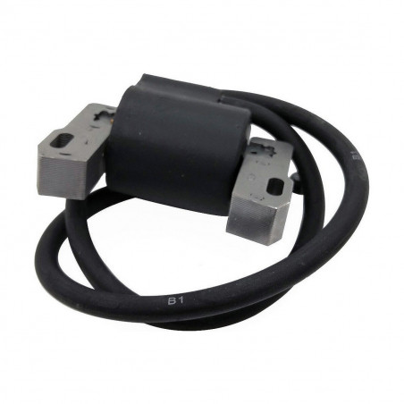 Batteria Pastormatic Vicino 15 x 9 x 10 cm