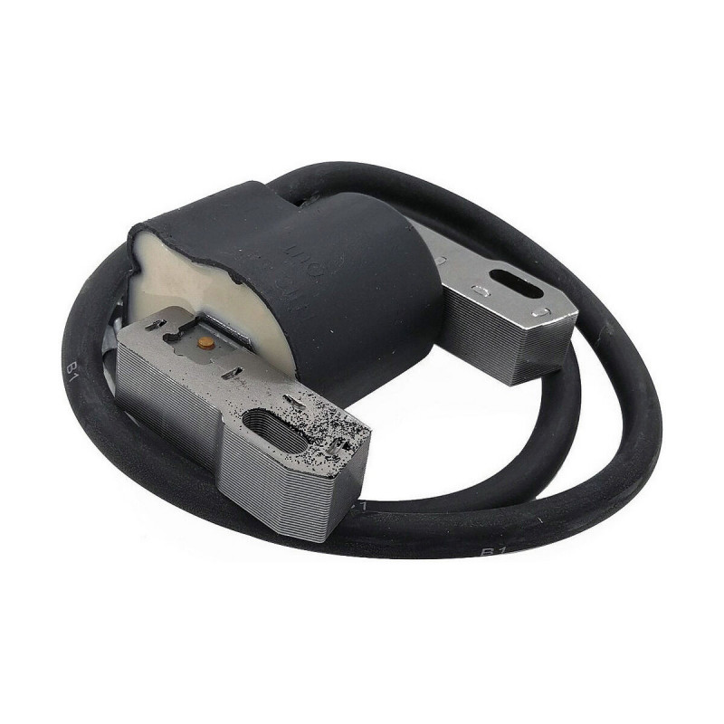 Batteria Pastormatic Vicino 15 x 9 x 10 cm