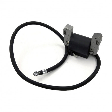 Batteria Pastormatic Vicino 15 x 9 x 10 cm