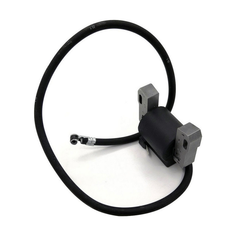 Batteria Pastormatic Vicino 15 x 9 x 10 cm