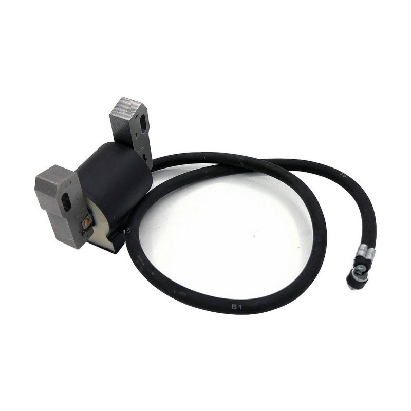 Batteria Pastormatic Vicino 15 x 9 x 10 cm