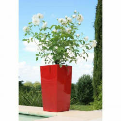 Blumentopf Riviera Rot Kunststoff karriert rund Moderne 29 x 29 x 52 cm 29 x 29 cm