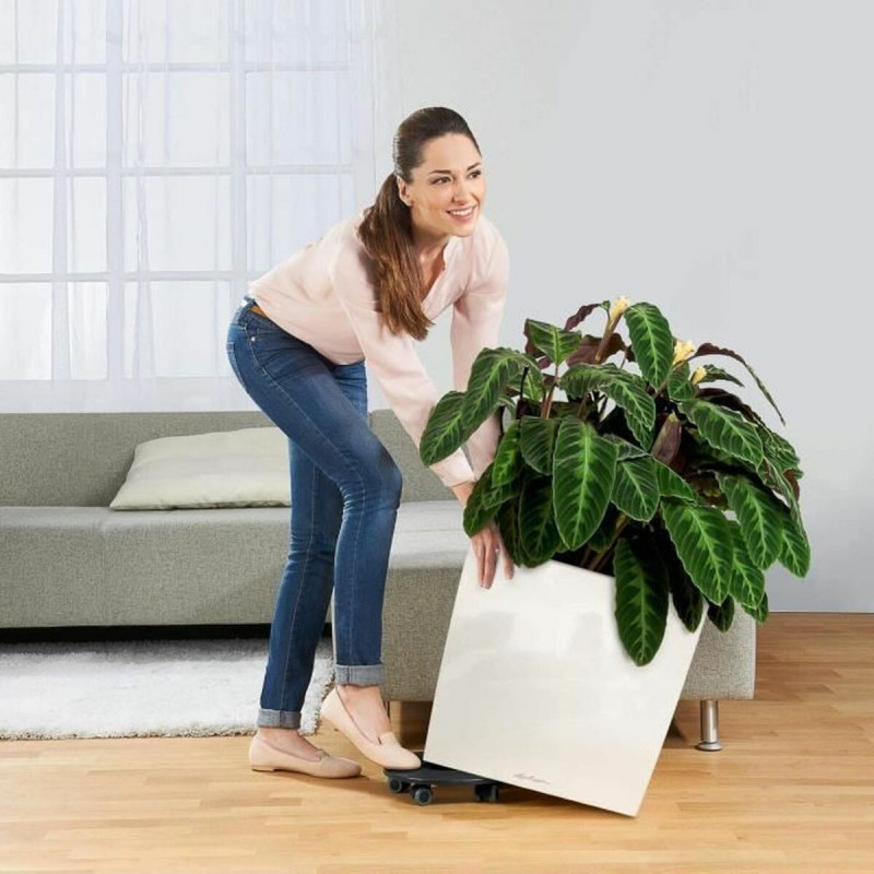 Vaso Autoirrigante Lechuza Marrone 50 x 50 cm polipropilene Plastica