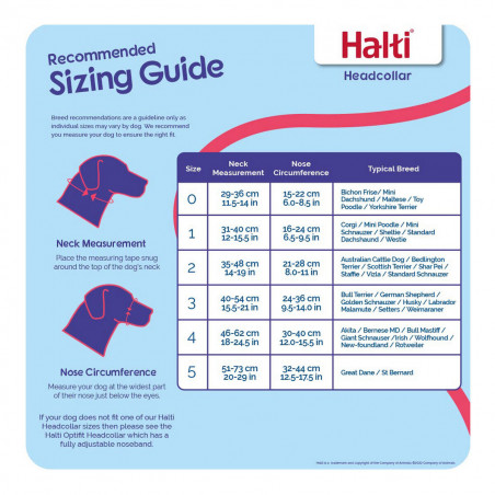 Coleira de Treino para Cães Company of Animals Halti Preto Açaime (40-54 cm)