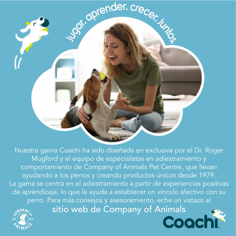 Trela para Cães Coachi Azul 2,5 m Treino