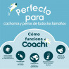 Correa de adiestramiento Coachi Azul Entrenamiento