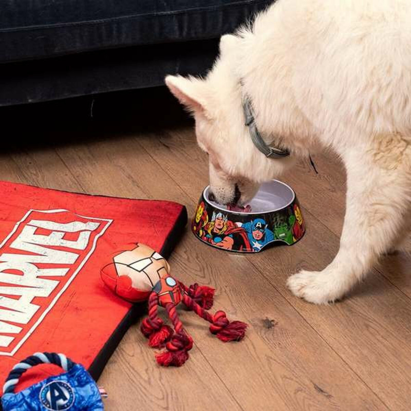 Futternapf für Hunde Marvel Melamine 180 ml