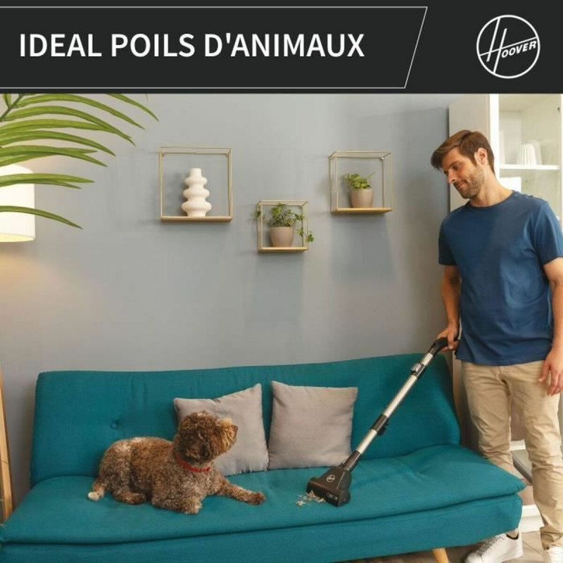 Aspirateur Hoover HP321PAF Gris 850 W