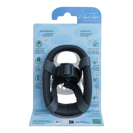 Muzzle Company of Animals Transparent 2