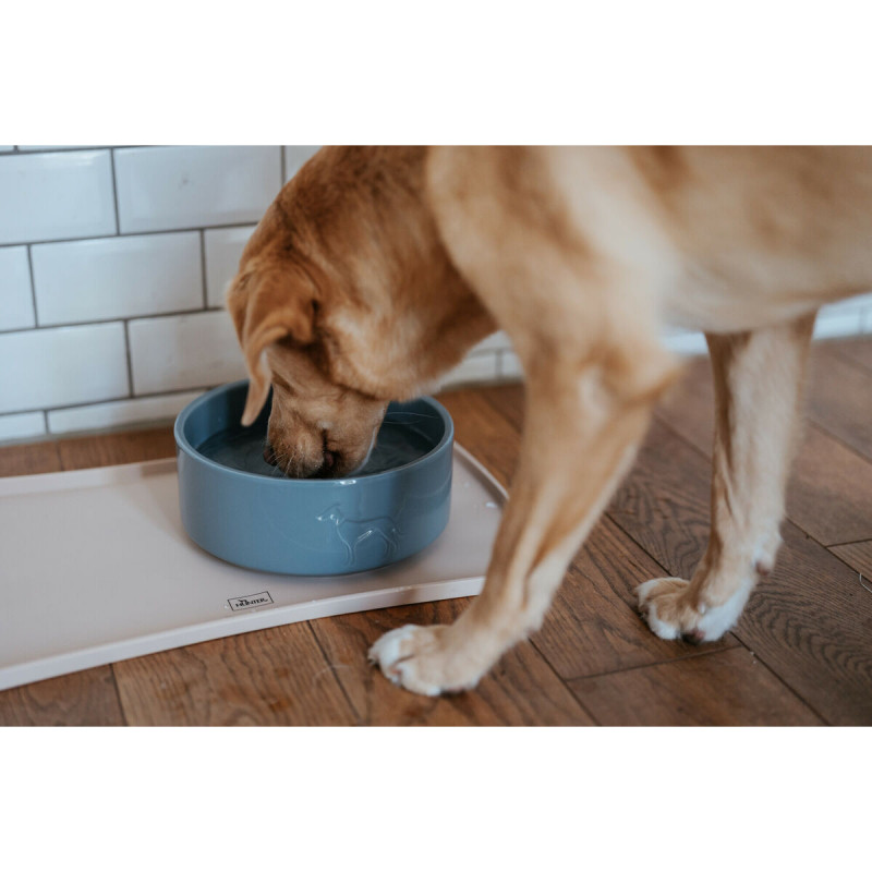 Ciotola per cani Hunter OSBY GLAZED Azzurro Ceramica 2,5 L