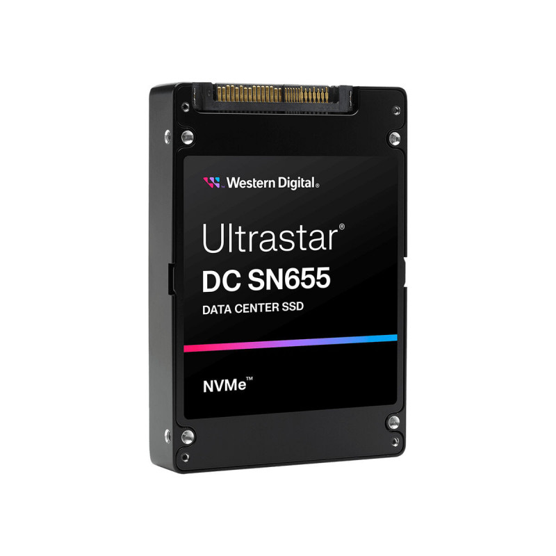 Hard Drive Western Digital 0TS2462 3,84 TB SSD