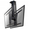TV Mount Neomounts PLASMA-C100D 75" 37" 50 kg
