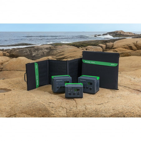 Système d'Alimentation Sans Interruption Interactif APC PSP200