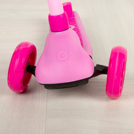 Roller EVO (2 Stück)