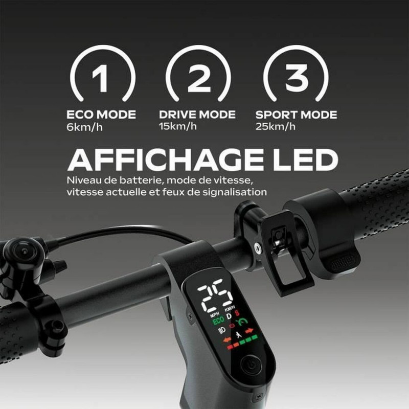 Electric Scooter EZWAY Black 450 W 25 km/h