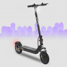 Electric Scooter EZWAY Black 450 W 25 km/h