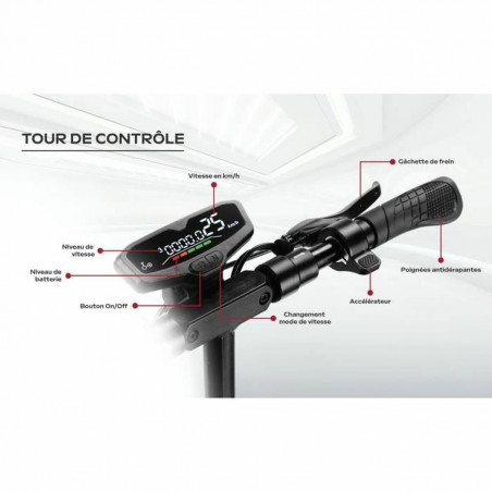 Trottinette Électrique EZWAY 800 W