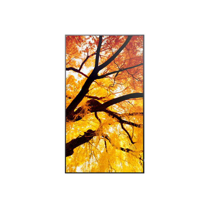 Moniteur Videowall Sharp 60006052 Full HD 32"