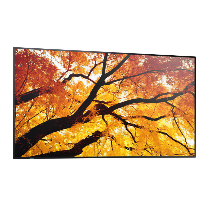 Moniteur Videowall Sharp 60006052 Full HD 32"