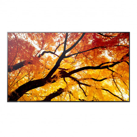 Videowall Monitor Sharp 60006052 Full HD 32"