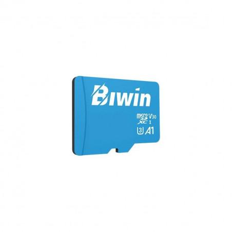 Memory Card Biwin MS100