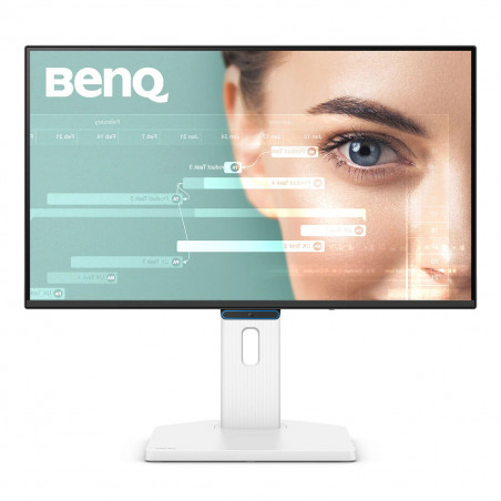 Écran BenQ GW2490TC 24" Full HD