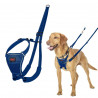 Imbracatura per Cani Company of Animals COBALT Azzurro 12