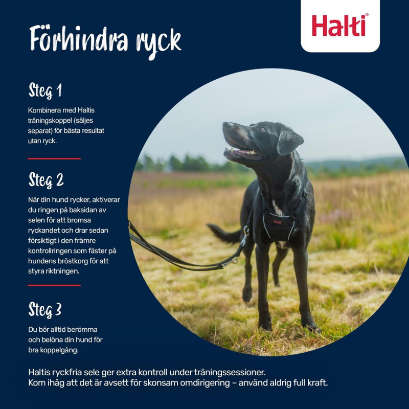 Hundegeschirr Company of Animals COBALT Blau 12