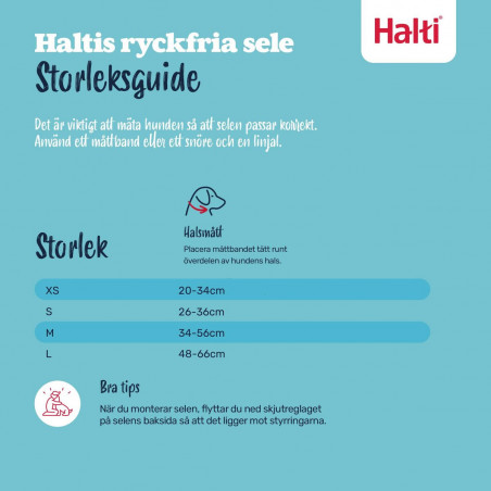 Hundegeschirr Company of Animals COBALT Blau 12